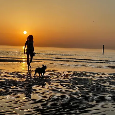 Appartement By Aimee - 20m From The & In Centre! *