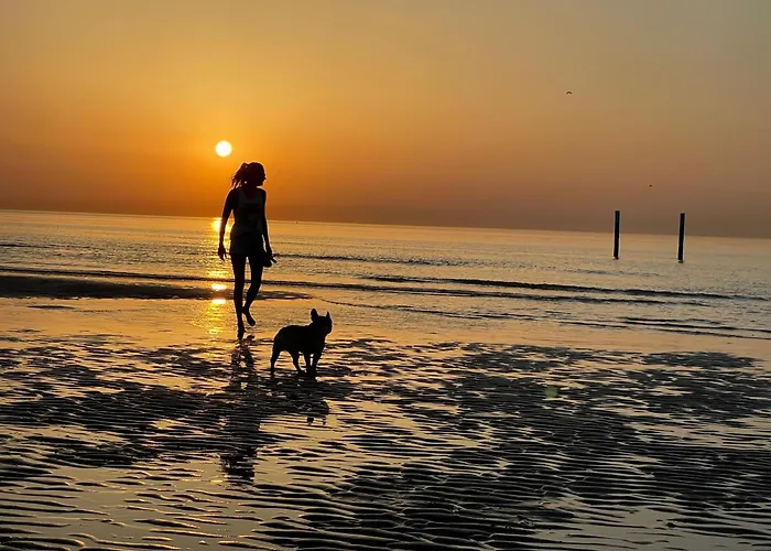 Appartement By Aimee - 20m From The & In Centre! *